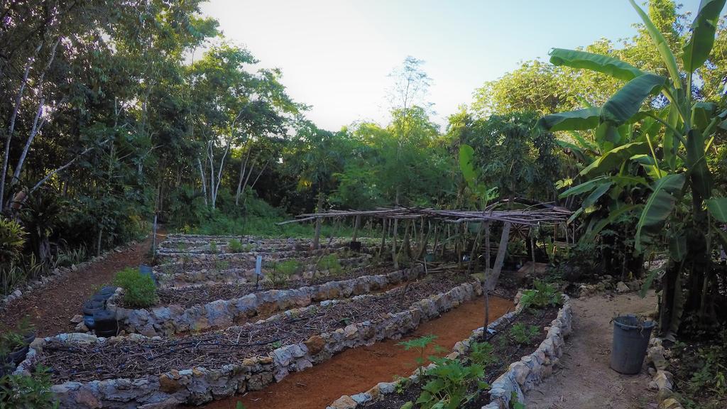 فندق باكالارفي  La Casa De Los Ninos Del Arbol المظهر الخارجي الصورة