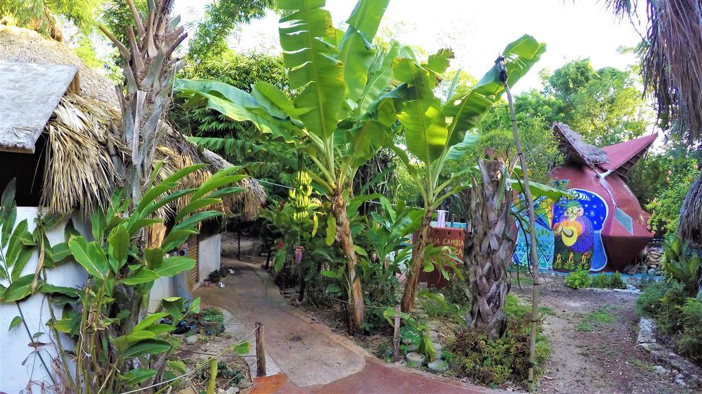 فندق باكالارفي  La Casa De Los Ninos Del Arbol المظهر الخارجي الصورة