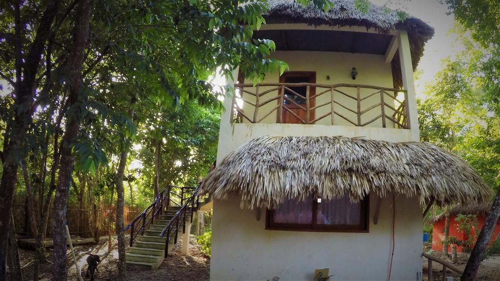 فندق باكالارفي  La Casa De Los Ninos Del Arbol المظهر الخارجي الصورة